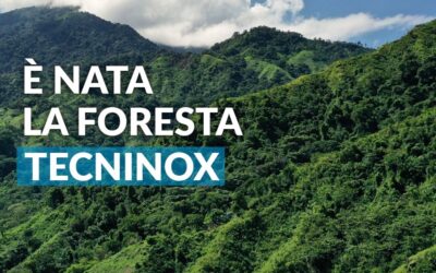 Nasce la foresta Tecninox