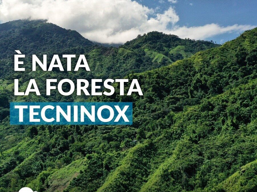 Tecninox forest is born