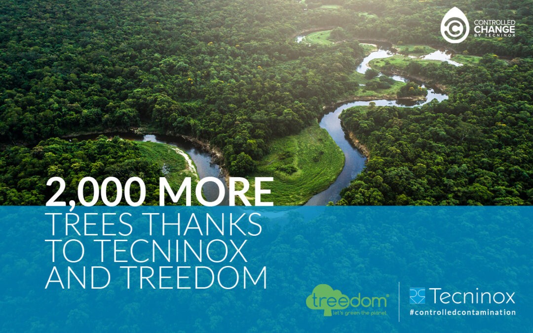 Our commitment to a greener future: 2,000 trees planted with Treedom.